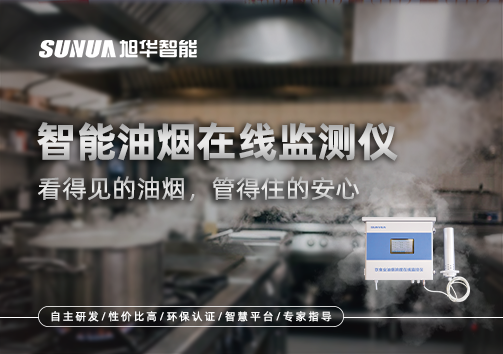 智能油烟在线监测仪：看得见的油烟，管得住的安心